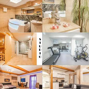  Apartment Wellness Studio! Finnish Sauna, Whirlpool, Gym & More!